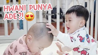 Download lagu BABY HWANI Pertama Kali Ketemu Ponakan Korea 😍 #lucu mp3