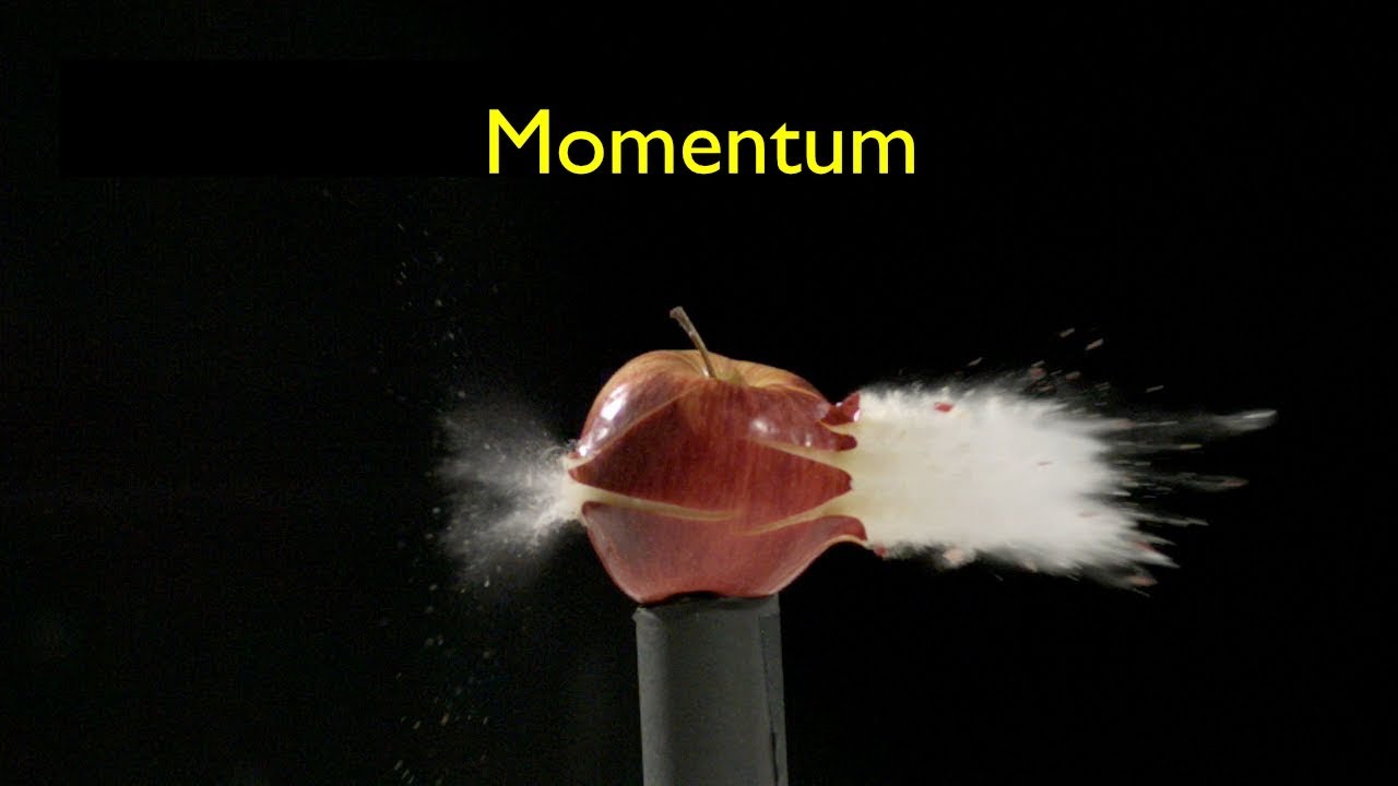 Apa Itu Momentum Dalam Fisika Apa Itu Momentum Dalam Fisika