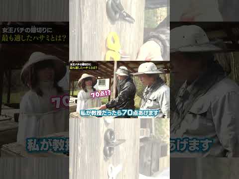 ミツバチにとって早咲きの植物 トピックス