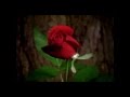"Thanks For Loving Me" by Tim Miner