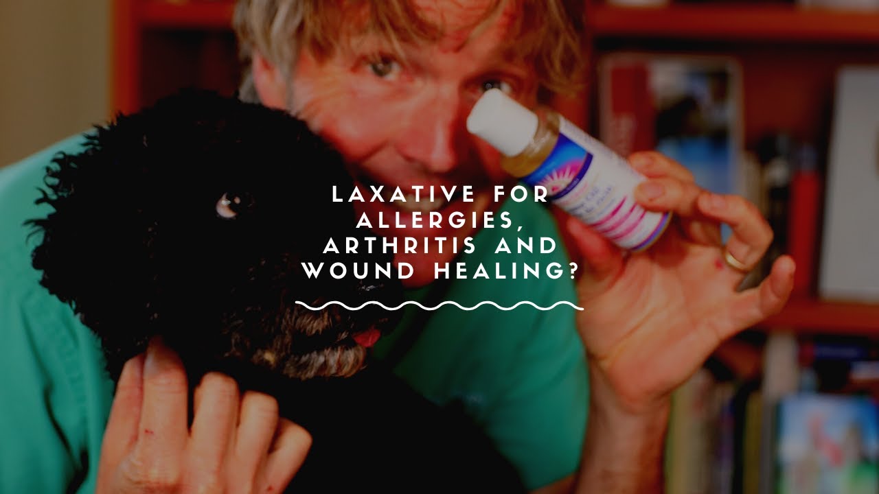 Castor Oil For Dogs and Cats