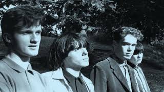 Servants - Transparent {1986}