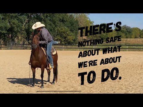 Problem horse: Bucking                             Part- 3 of 3