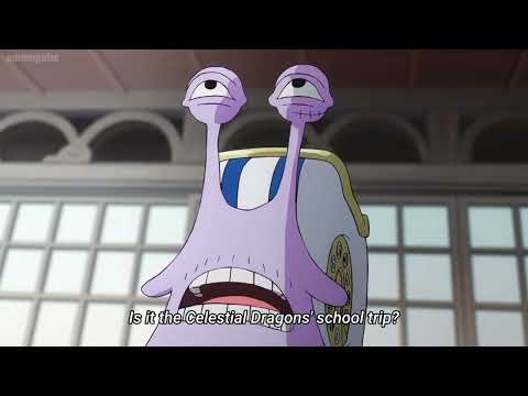 Kong Orders Garp to God Valley – Legendary Flashback Begins!