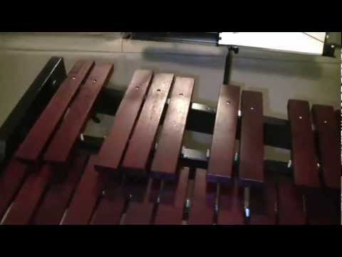 Stagg Xylophone Review - 37 keys - 3 octave