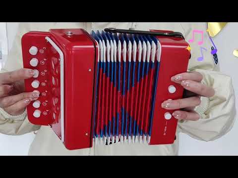 Play Music with Accordion Toy for Kids