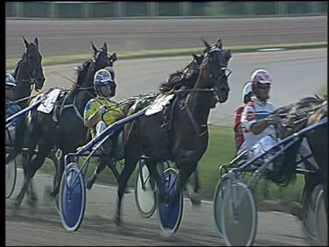 Trotto 11/06/2016 - 7° corsa