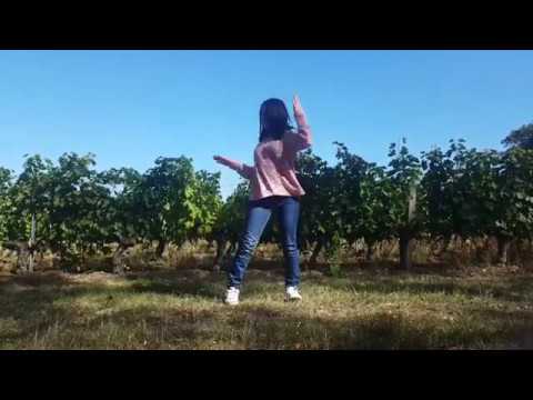Wiggle wiggle - Hello venus dance cover by Kdansing