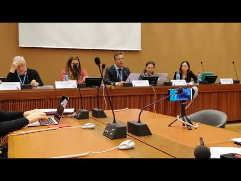 Carlos Moreira at the United Nations Human Rights Meeting - part 2