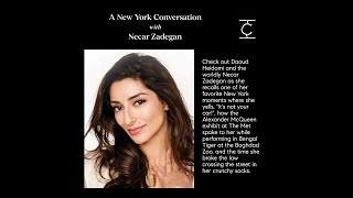 Necar Zadegan & The Catalyst Team have A New York Conversation. video
