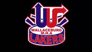Wallaceburg Atom Tri County #2 League Champs – VIDEO