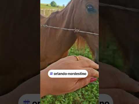 sitio ponbos localizado entre Belém e cachoeira interior da #paraiba