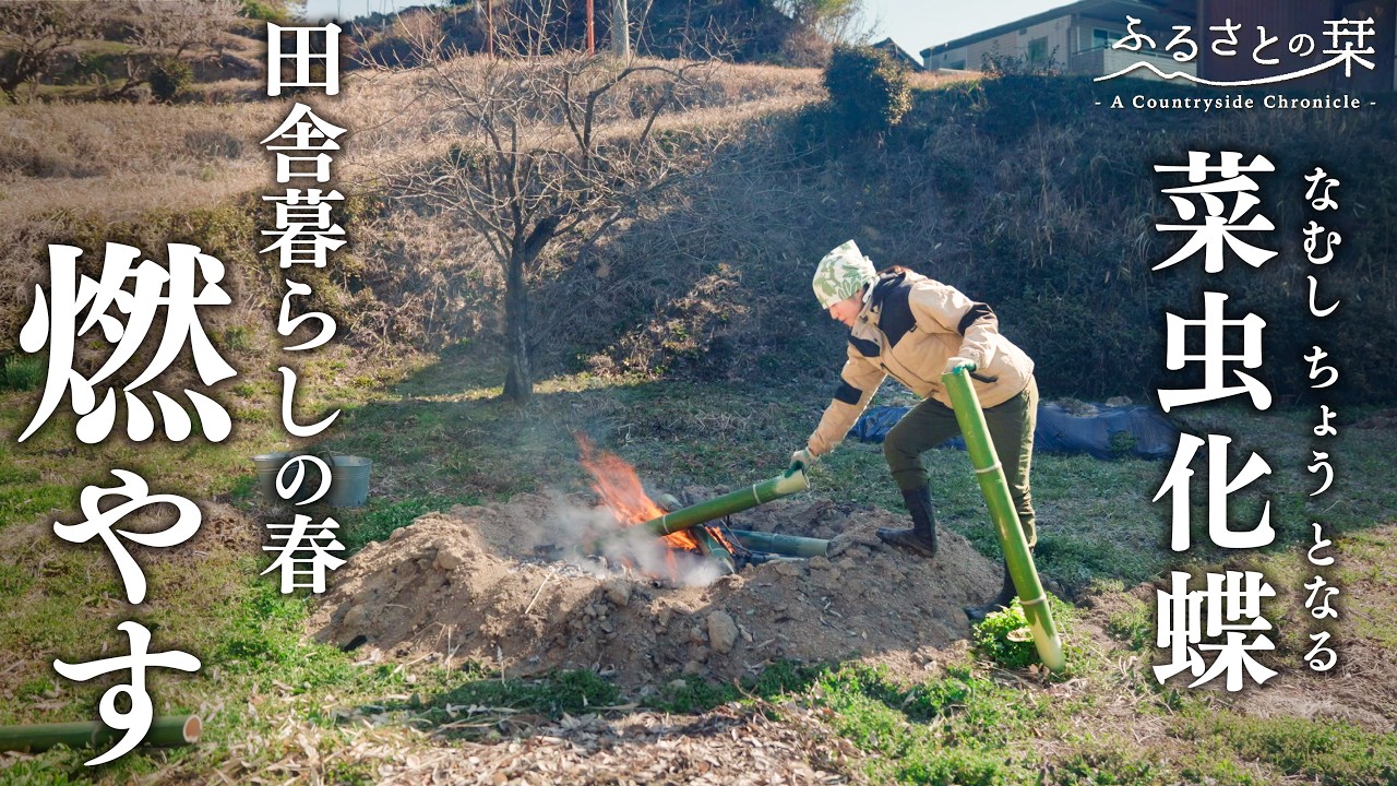 【自然の中で暮らす】竹を燃やし、木を植え、春を感じながら一服…田舎暮らし夫婦のとある1日｜田舎暮らし191