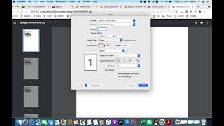 No label size match to your paper? How to create customize size labels on Mac