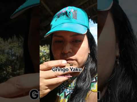 Conociendo #pastaza #puyo #travelvlog #turismodeexperiencia #ecuador