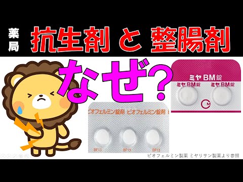 猫に抗生物質を与えてもいいでしょうか?