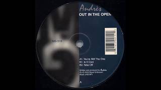 Andrés  -  Is It Cool