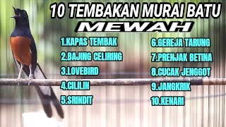 Download lagu MASTERAN MURAI BATU MATERI DAHSYAT FULL ISIAN MEWAH AMPUH BUAT PANCINGAN AGAR BONGKAR ISIAN mp3 Download lagu MASTERAN MURAI BATU MATERI DAHSYAT FULL ISIAN MEWAH AMPUH BUAT PANCINGAN AGAR BONGKAR ISIAN mp3