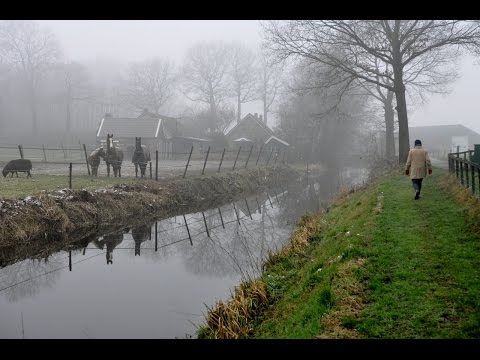 Northern Holland - Walking the countryside near Tiendeveen [January 19, 2015]