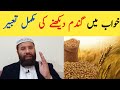 Khwab Mein Gandum Dekhna Khwab Mein Gandum Dekhne Ki Tabeer خواب میں گندم دیکھنے ک
