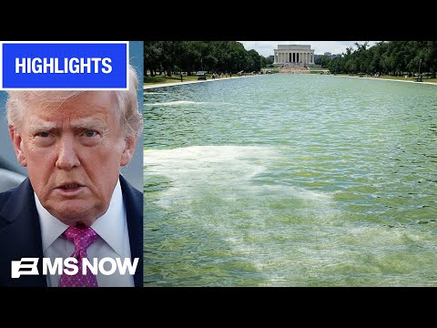 'Truly SHOCKING' Watch MS NOW's INSTANT REACTION to DOJ nixing Reflecting Pool case