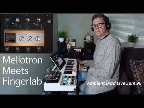 Mellotron Meets Fingerlab - Chamberlin, Mellowsound, iPhilicorda, AUM, Boss RE-202 Space Echo