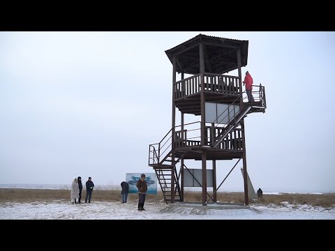 Специальная вышка в Хакасии позволит увидеть редких птиц
