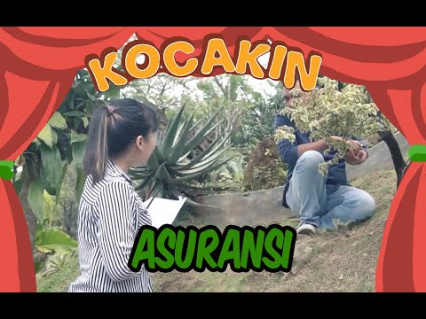 kocakin-asuransi