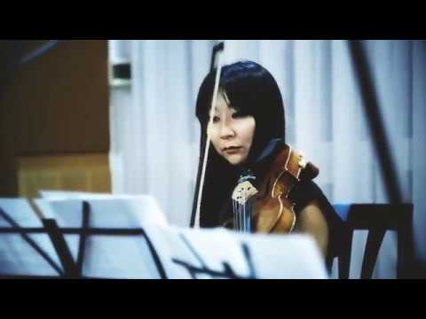 Прев'ю відео