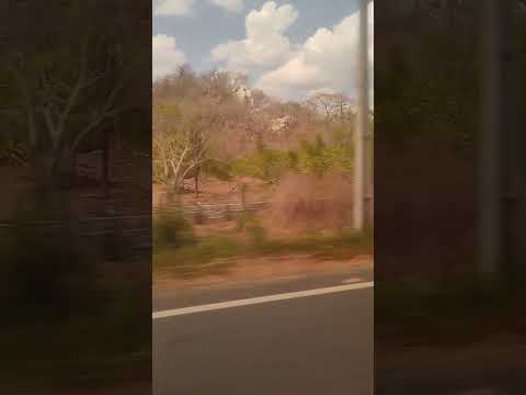 Sertão de Apuiarés-CE, bairro Quandú.bairro fica na CE-341 sentido Tejuçuoca-CE e General Sampaio-CE