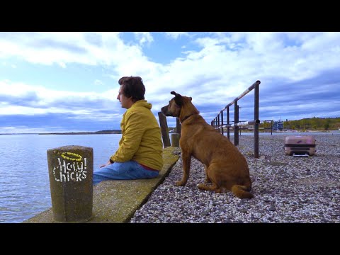 HolyChicks - Nélkülünk, bennünk