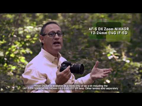 Nikon D5300 Video #1