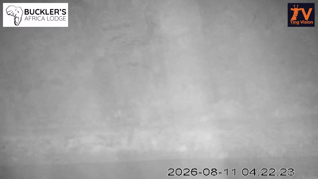 Latest Sightings LIVE