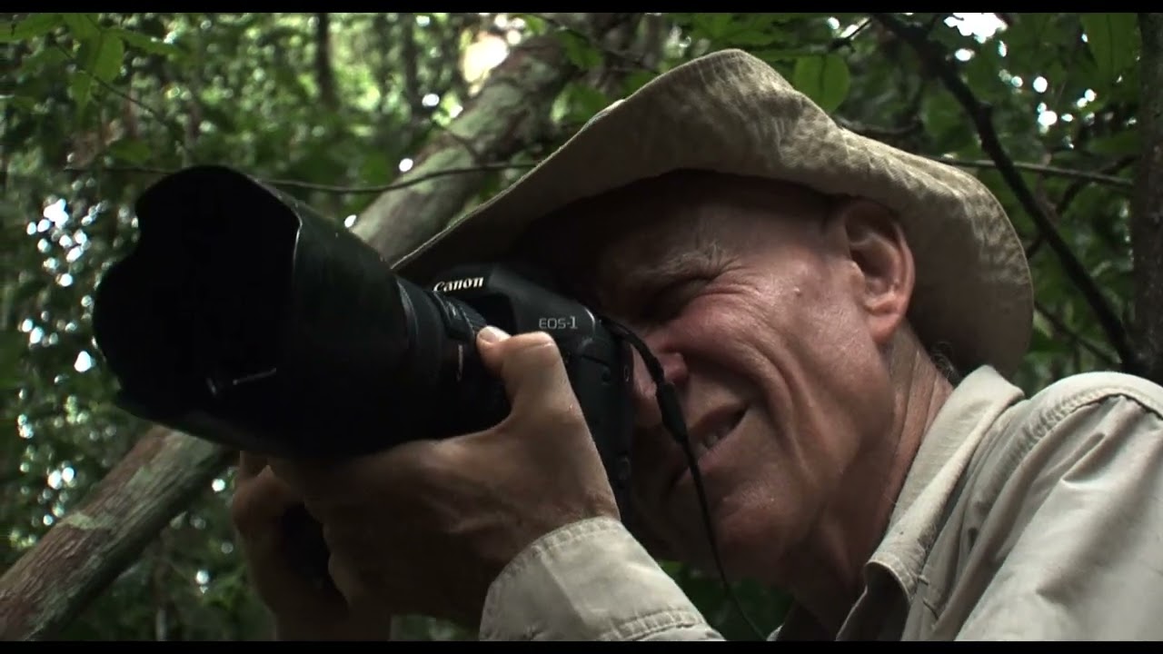 Anteprima e trailer