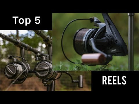 5 Best Carp Fishing Reels For Under £100