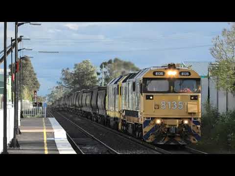 Pacific National Grain Train at Scone
