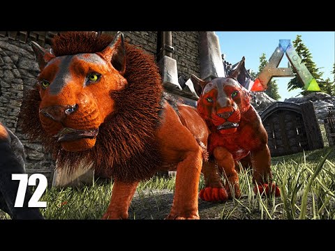 FINALMENTE ENCONTREI E DOMEI UM LEÃO - Ep 72