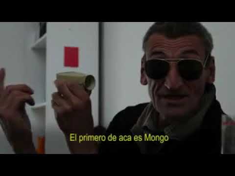 Documental sobre Mongo