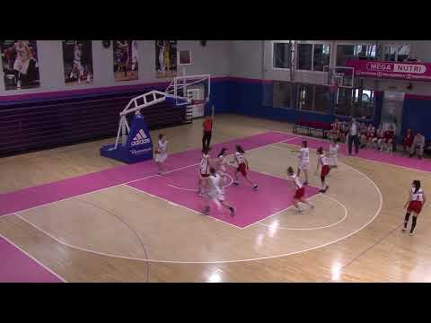 TRIGLAV ZKLS 14 ArtBasket Vojvodina021