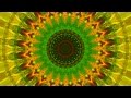 The Mermen - White Trash Raga - psychedelic video - Kaleidovideo