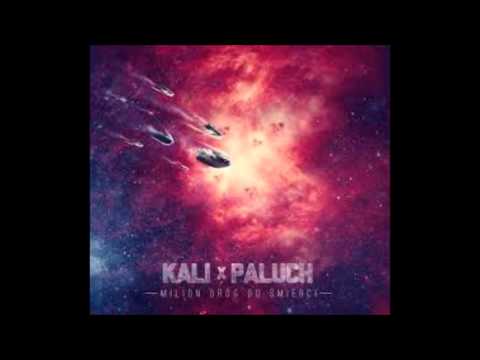 10. Kali & Paluch - Nie zmusisz mnie ft. Onek87