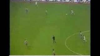 Kako je lepo biti glup