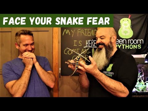 How To Get Over a Fear of Snakes