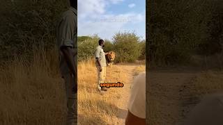 Na natureza, um segundo decide tudo. #curiosidades #bichos #animais