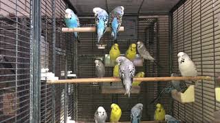 Geier Sturzflug - Einsamkeit