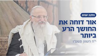 אור דוחה את החושך הרע ביותר | הרב שמואל אליהו | הלכה יומית | י״ח חשוון תשפ״ו (הרב שמואל אליהו) - התמונה מוצגת ישירות מתוך אתר האינטרנט יוטיוב. זכויות היוצרים בתמונה שייכות ליוצרה. קישור קרדיט למקור התוכן נמצא בתוך דף הסרטון