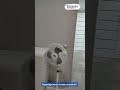 Видео превью