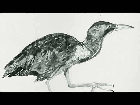 Video thumbnail for Cuckoo