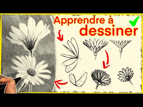 Cours de dessin en perspective. Géométrie et dessin réaliste. Les fleurs.