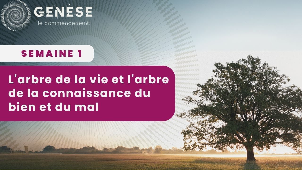 Semaine 1 - L'arbre de la vie et l'arbre de la connaissance du bien et du mal